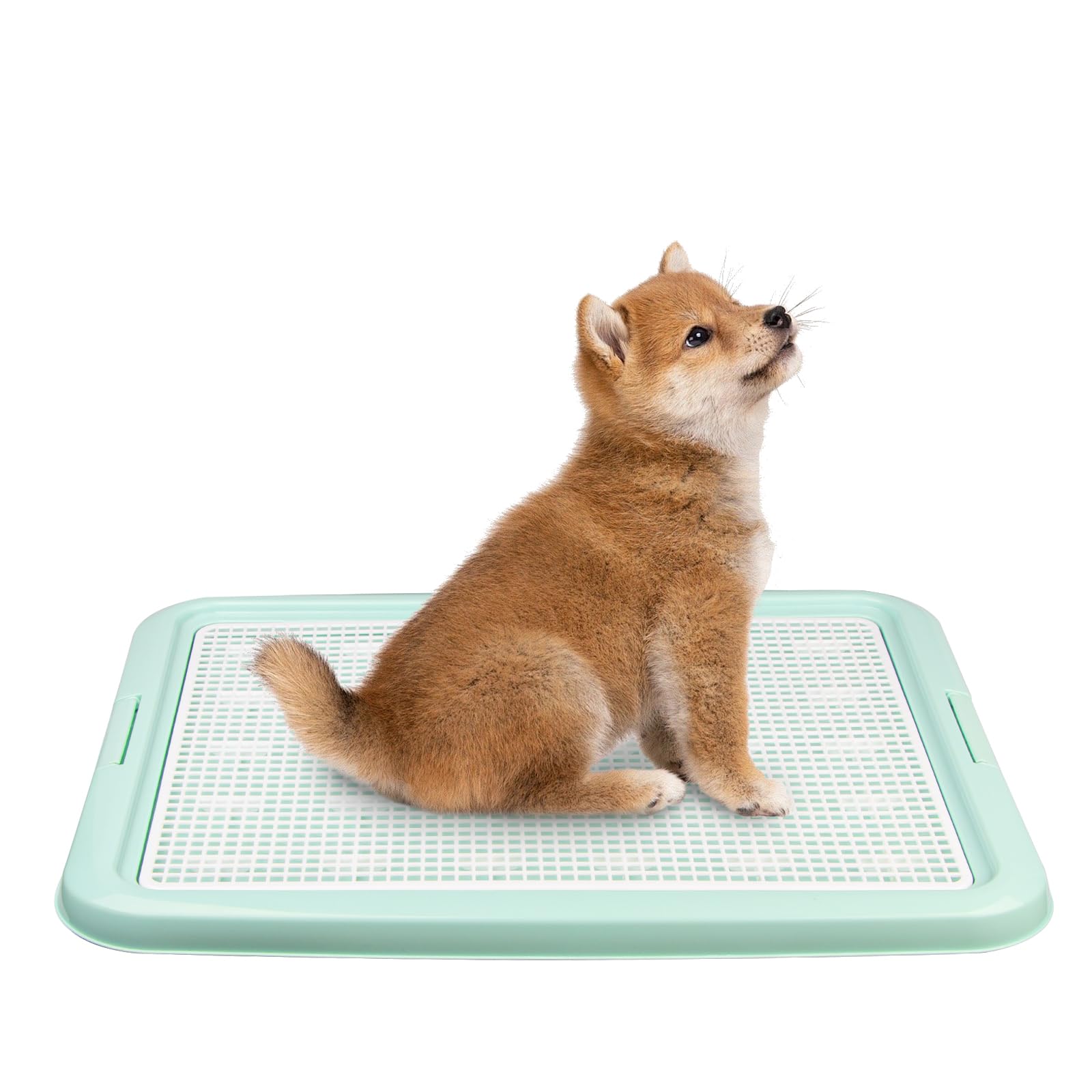 Amazon | 犬 トイレ トイレトレー 犬トイレ 犬用トイレ ペットトイレ